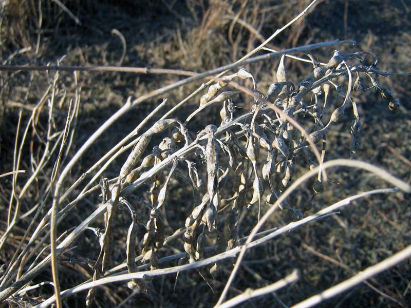 1.04.2010-086.jpg