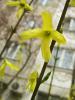 11021110_t1.jpg