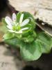 1104115_t1.jpg