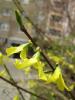 1104119_t1.jpg