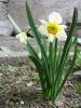 1104124_t1.jpg