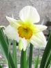 1104125_t1.jpg
