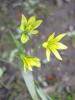 1204111_t1.jpg