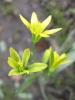 120411_t1.jpg