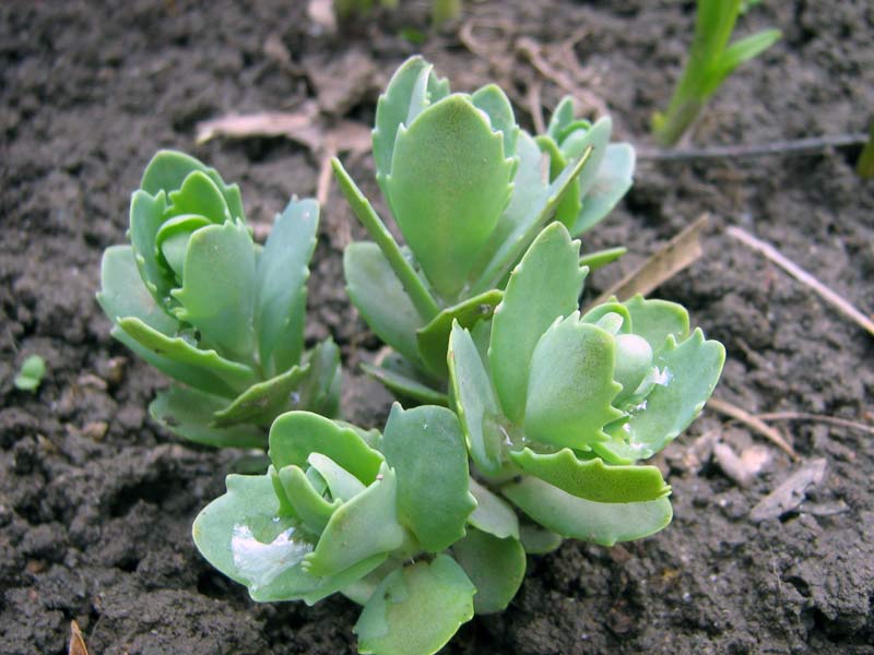13.04.2010-003.jpg