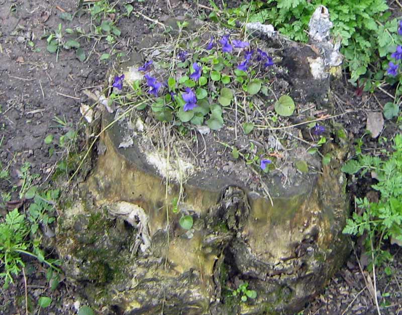 13.04.2010-017.jpg