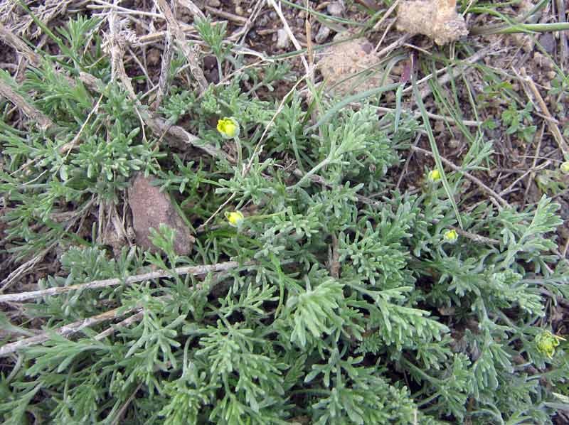 13.04.2010-053.jpg