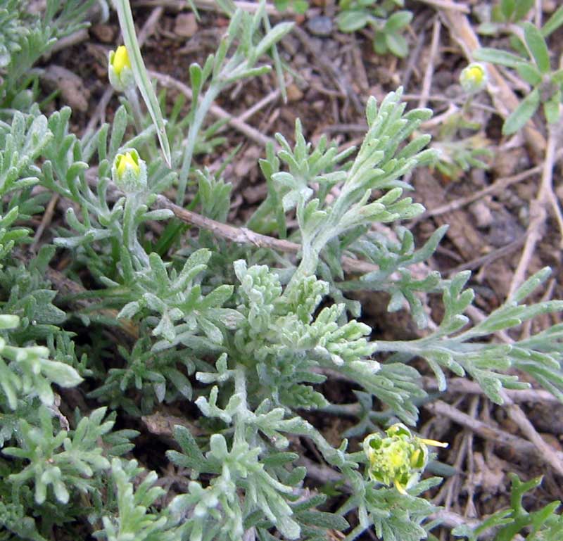 13.04.2010-054.jpg