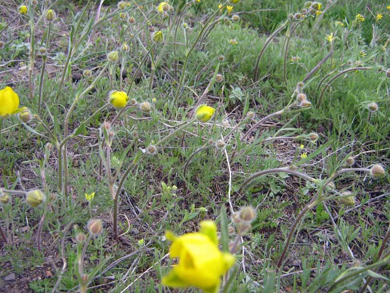13.04.2010-069.jpg