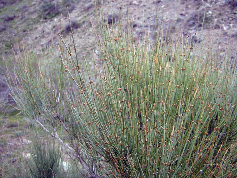 13.04.2010-115.jpg