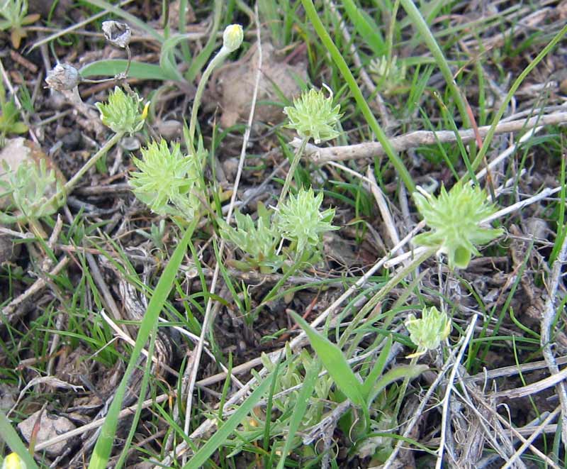 14.04.2010-002.jpg