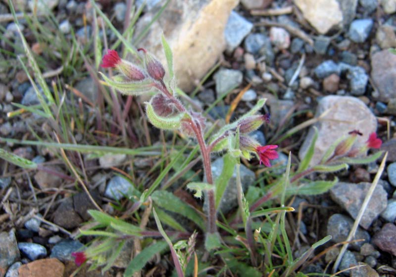14.04.2010-012.jpg