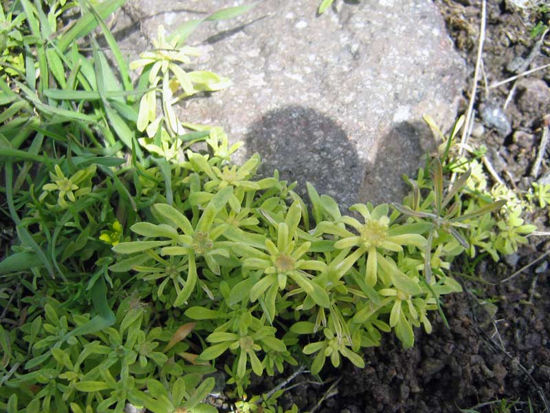 14.04.2010-051.jpg