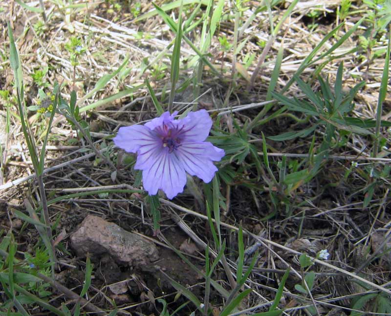 17.04.2010-206.jpg