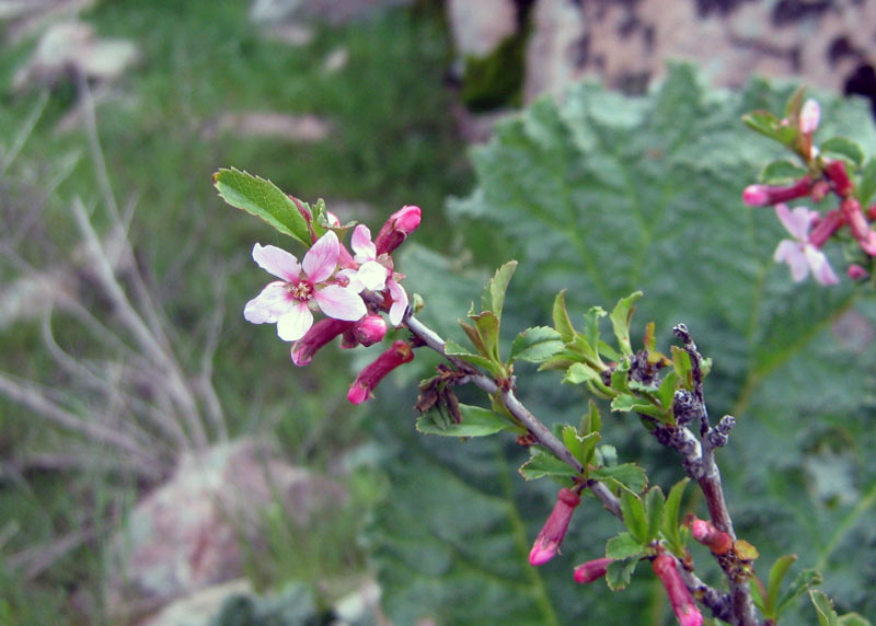 17.04.2010-235.jpg