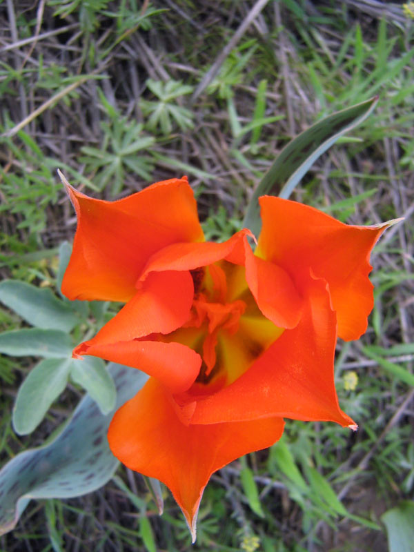 17.04.2010-341.jpg
