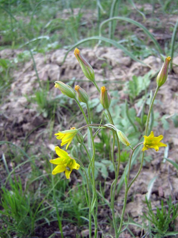 17.04.2010-376_1.jpg