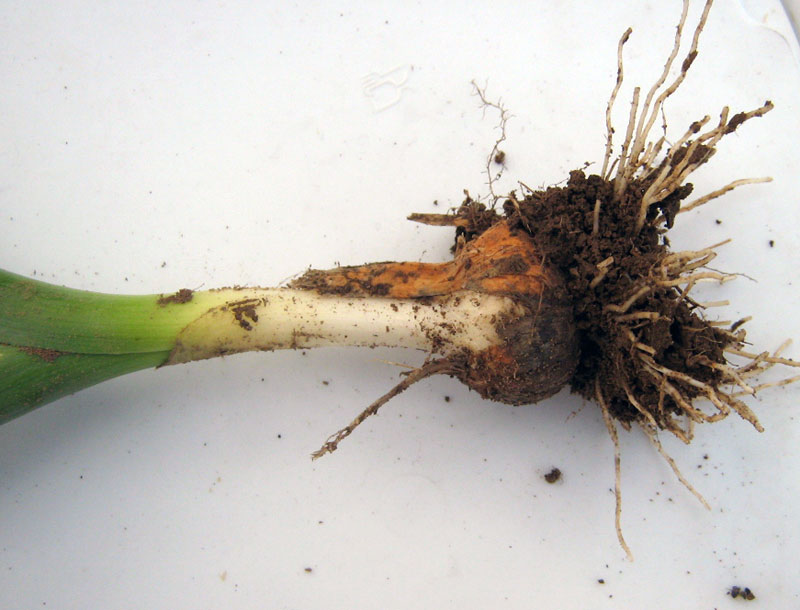 17.04.2010-379.jpg