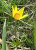 19.04.2010-007_t1.jpg
