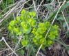 19.04.2010-010_t1.jpg