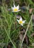 20120407.74_t1.jpg