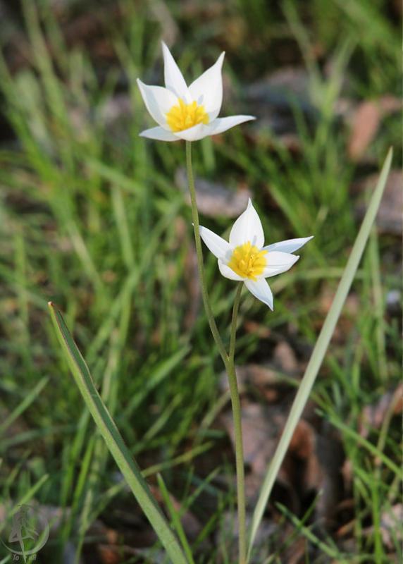 20120407.74.jpg