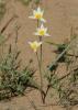 20120407.83_t1.jpg