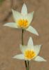 20120407.84_t1.jpg