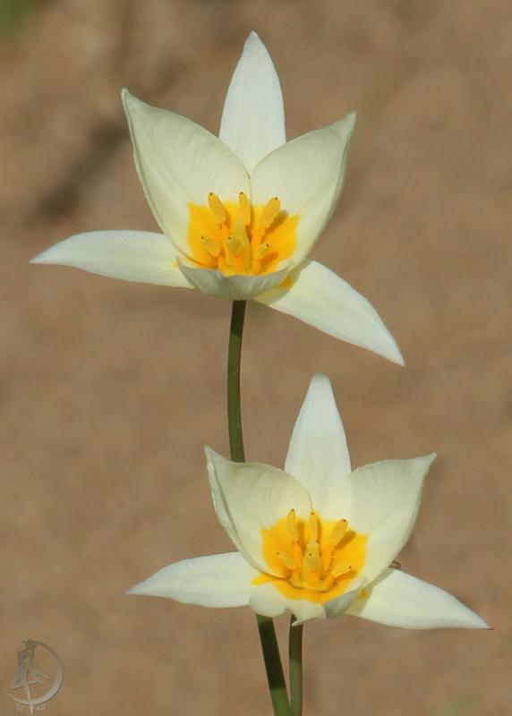 20120407.84.jpg