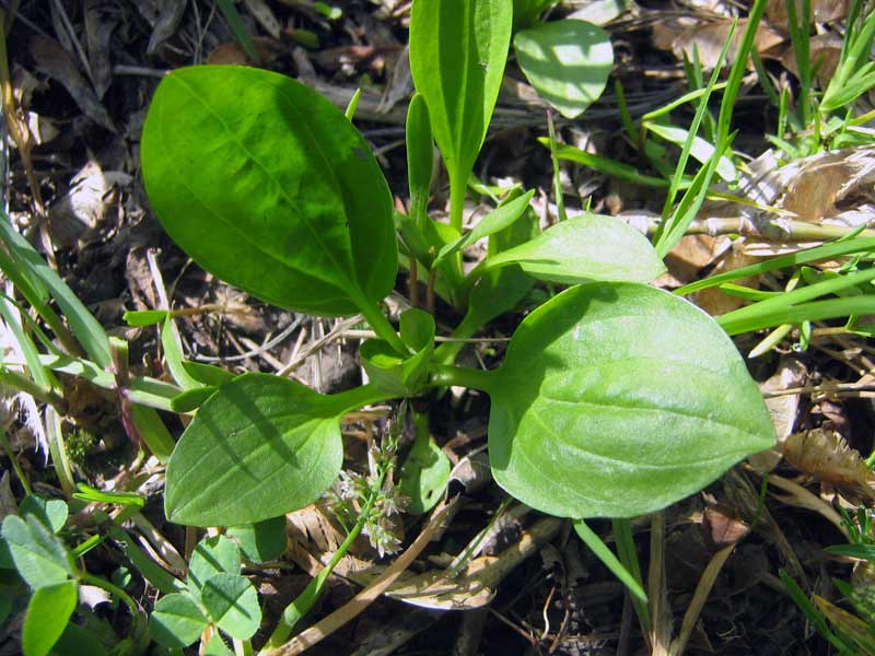 21.04.2010-044.jpg