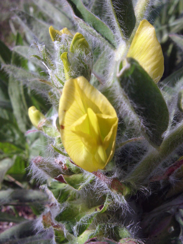 22.04.2010-023.jpg