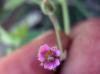 22.04.2010-066_t1.jpg