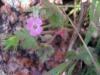 22.04.2010-067_t1.jpg