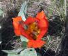 22.04.2010-077_t1.jpg