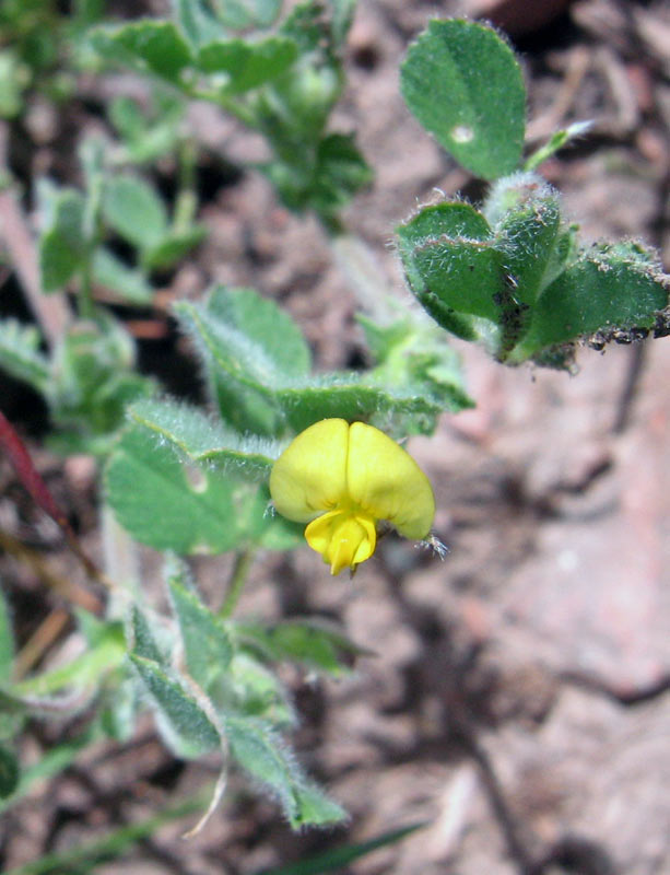 22.04.2010-105.jpg