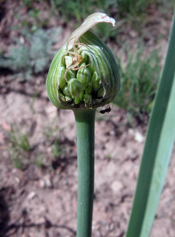 22.04.2010-107.jpg