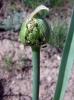 22.04.2010-107_t1.jpg