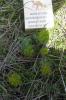 22.04.2010-125_t1.jpg