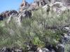 23.04.2010-011_t1.jpg