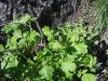 23.04.2010-014_t1.jpg