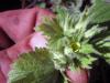 23.04.2010-017_t1.jpg