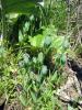 23.04.2010-024_t1.jpg