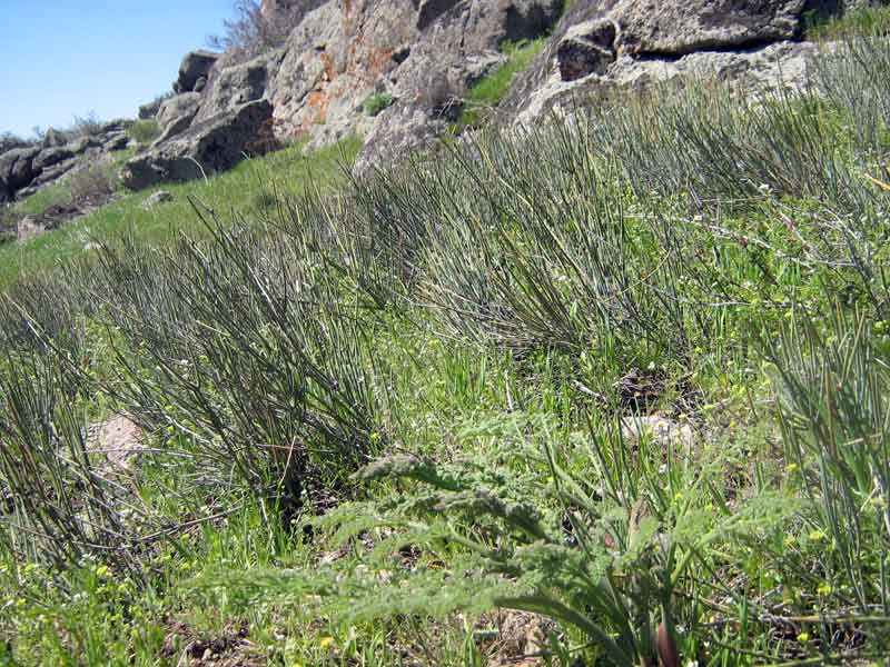 23.04.2010-089.jpg