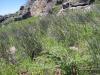 23.04.2010-089_t1.jpg