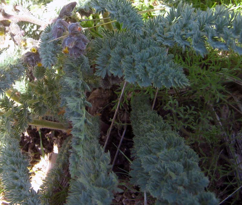 23.04.2010-097.jpg