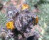 23.04.2010-102_t1.jpg