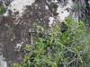 23.04.2010-108_t1.jpg