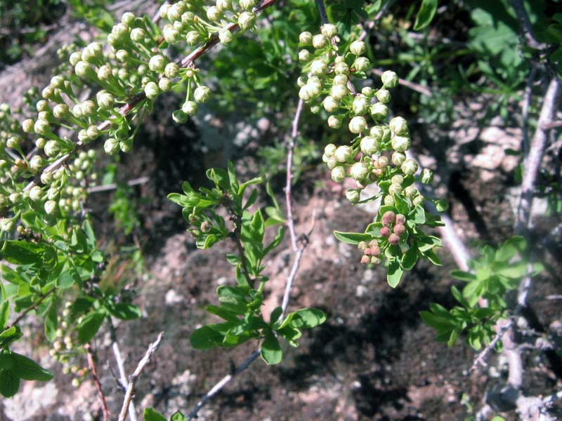 23.04.2010-111.jpg