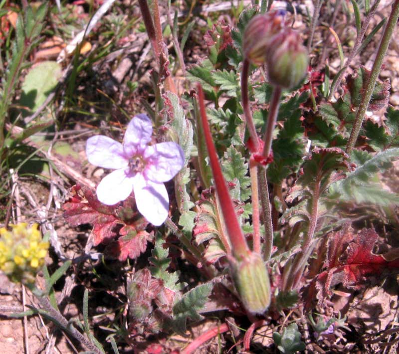 23.04.2010-144.jpg