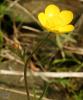 23042010_t1.jpg